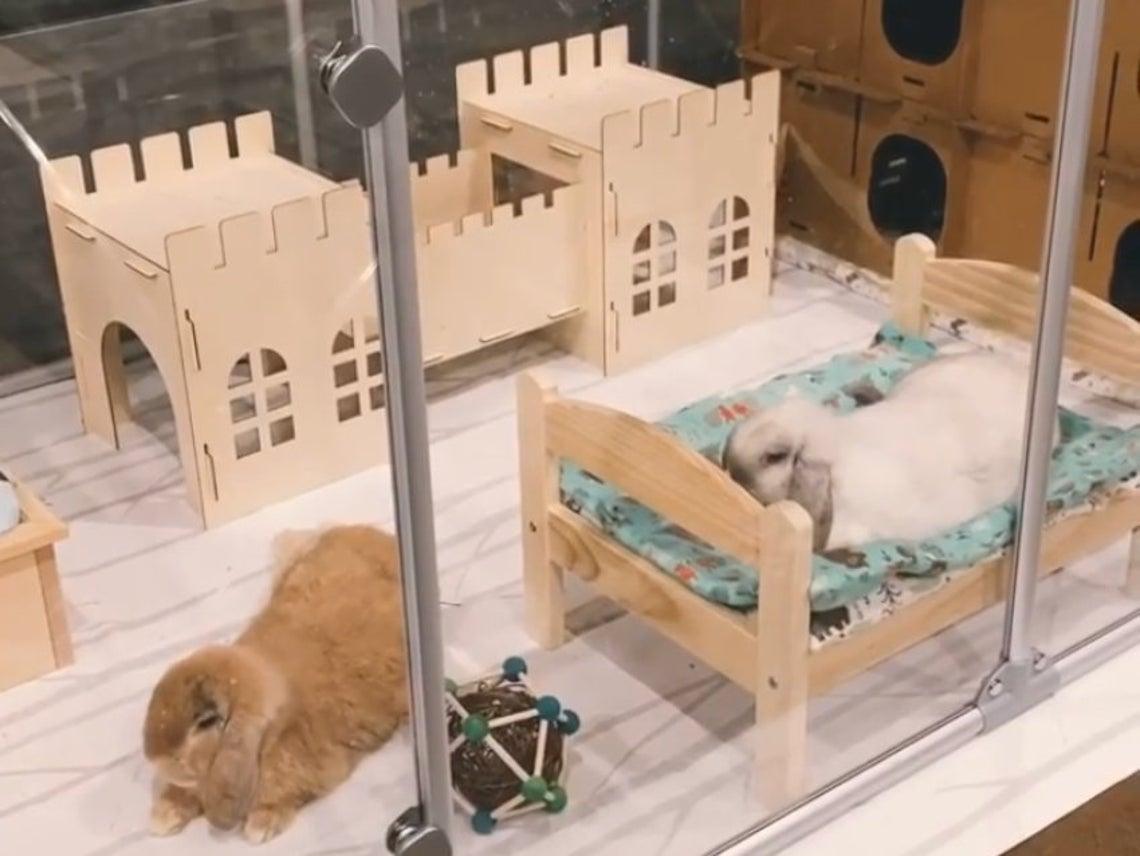 Wooden Castle Hide & Play House For Rabbits And Guinea Pigs