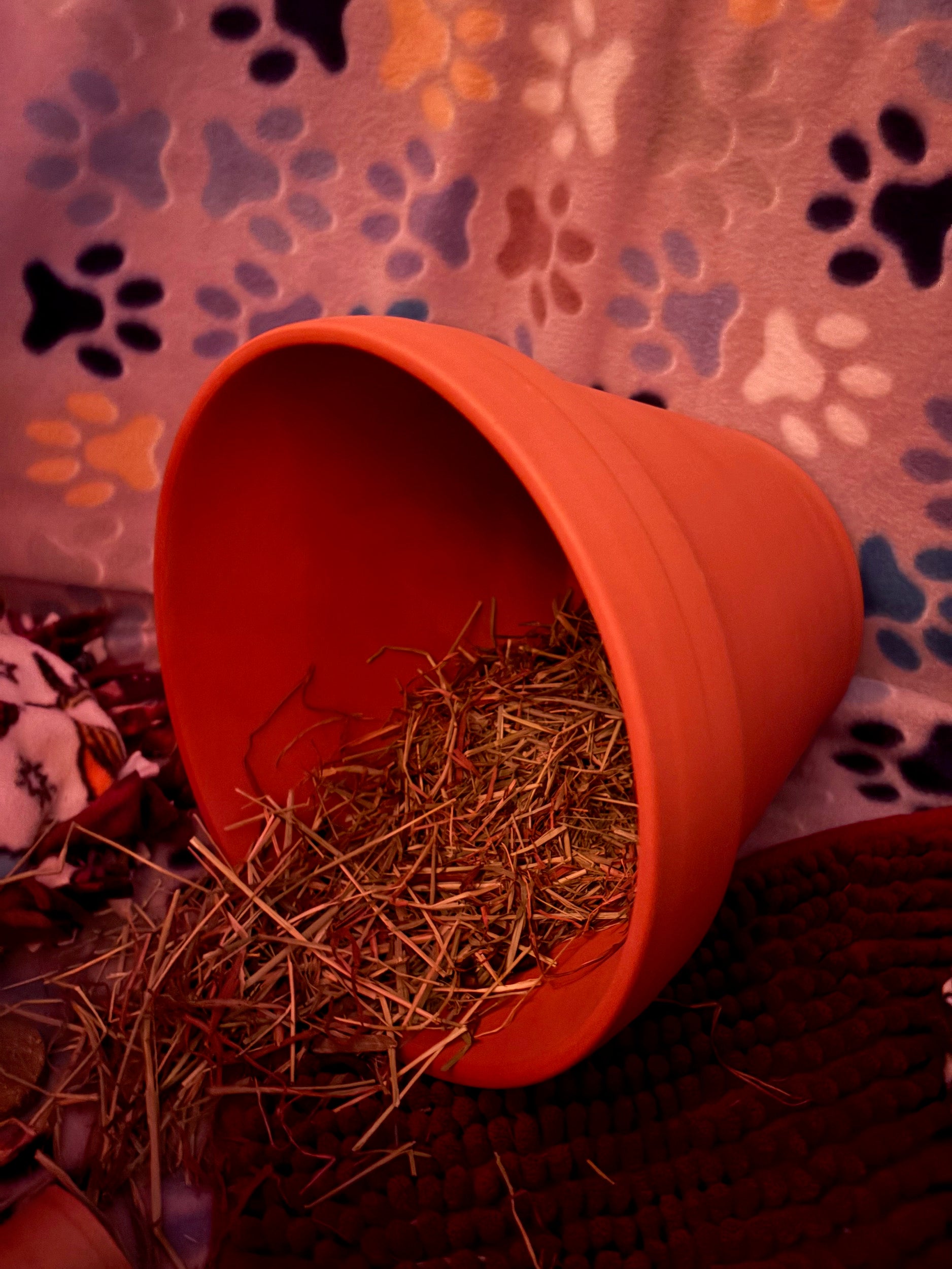 Clay Pot Hide For Small Pet Nail Filing
