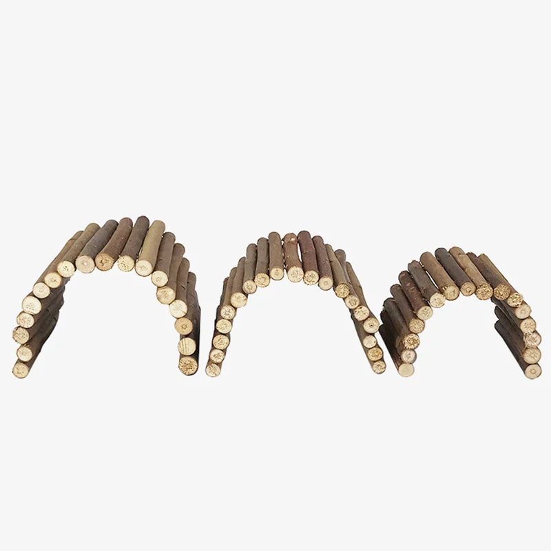 S317d47cee10245d3b59aea3259703279U