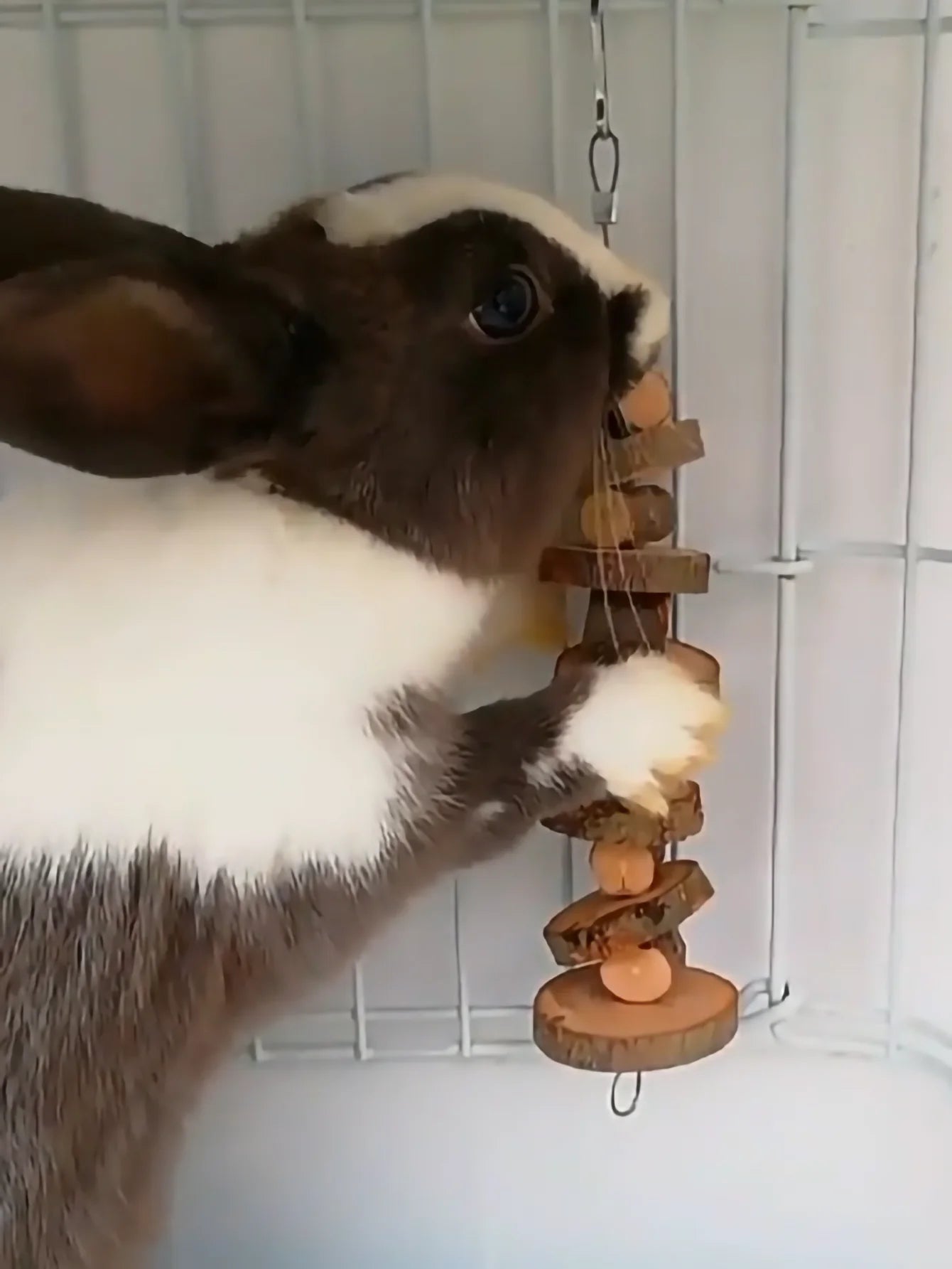 S6c4130e5b98146619f99a80396a3088bL