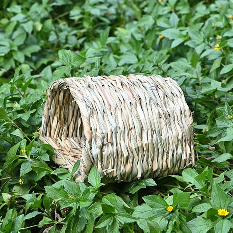 S6e686ef2dc3b4a2283b8be2016c349a99