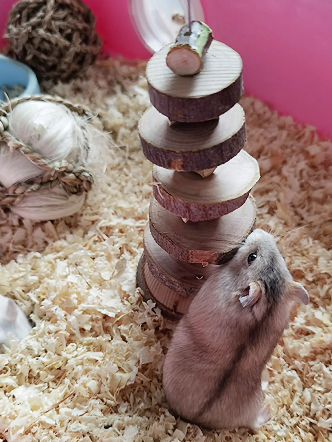 S8caa80bfa2374e32b7058e4496d47a2f8