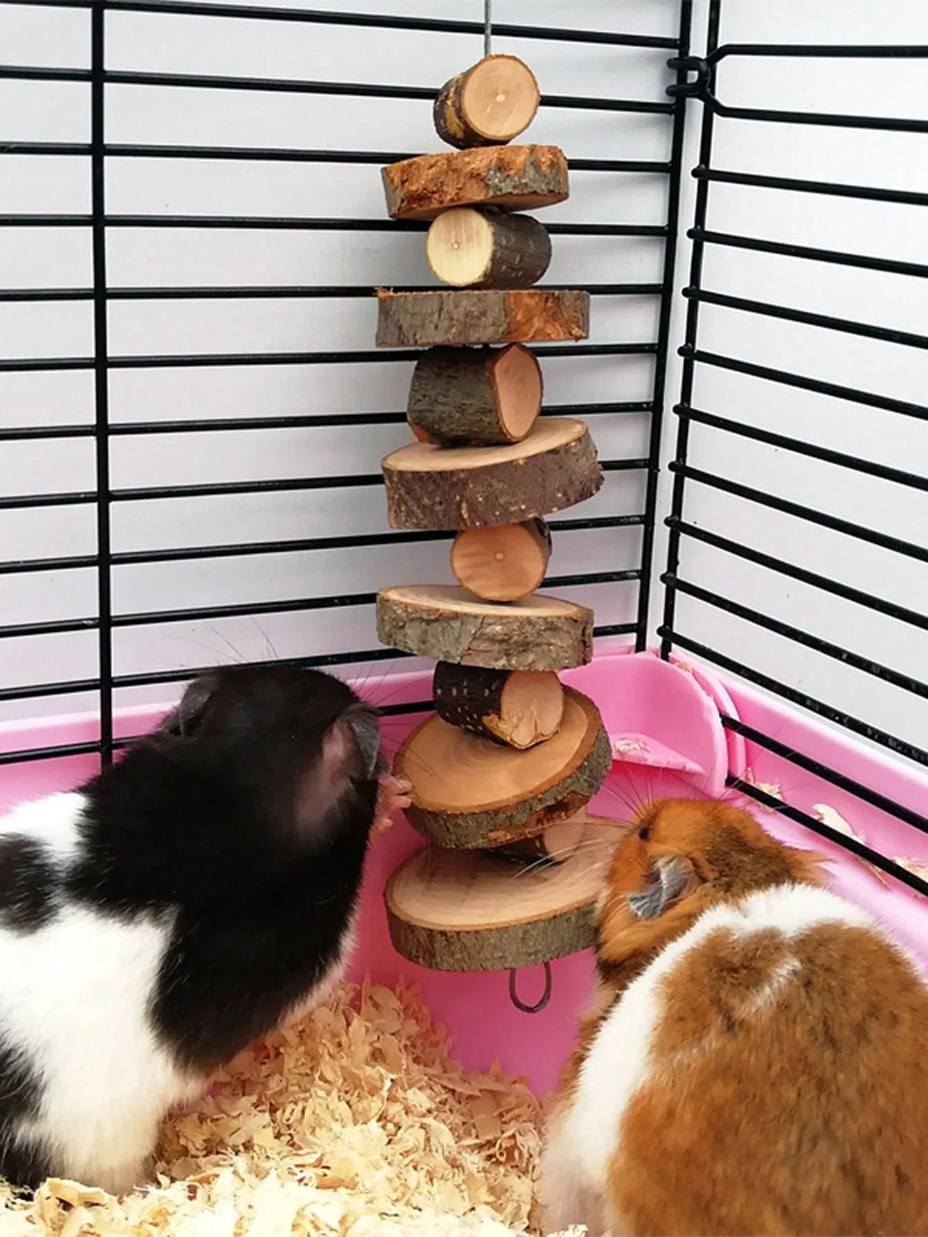 S9b616c6a907245439b5ae0e1a1e2f16bv